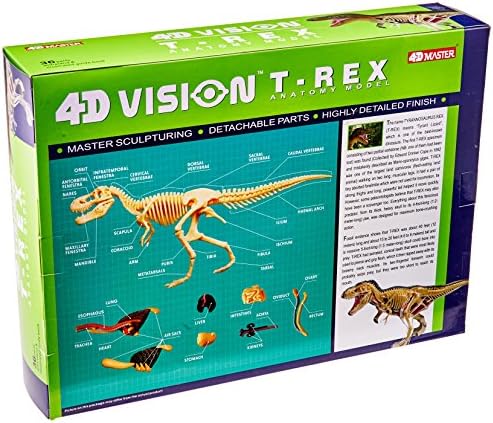 Famemaster 4D Vision T-Rex Anatomy Model - Image 2