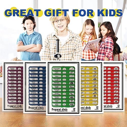 60pcs Microscope Slides with Specimens for Kids – Kids Prepared Stereo Microscope Slides for Stereo Microscope and Other, Animals Insects Plants Flowers Specimens - Image 2