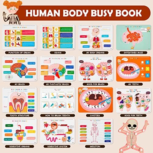 Freebear Montessori Busy Book for Kids, Human Body Anatomy Book for Toddlers, Preshool Kindergarten Learning Activities, Autism Sensory Toys, Travel Toys, Gifts for Girls and Boys 4 5 6 7 8 Years - Image 2
