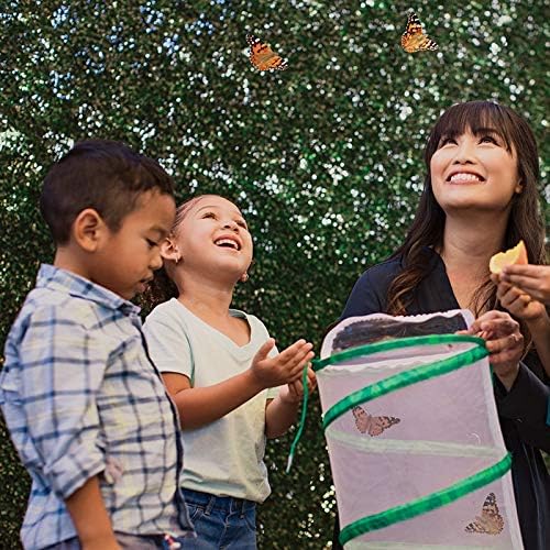 Butterfly Garden: Original Habitat and Two Live Cups of Caterpillars with Journal – Life Science & STEM Education – Butterfly Science Kit - Plus Butterfly Life Cycle Stages Figurines