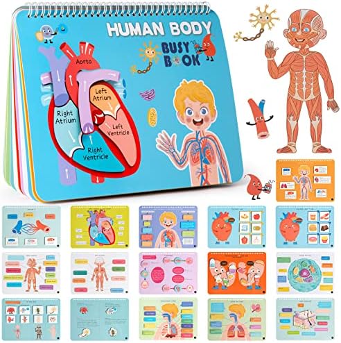 Freebear Montessori Busy Book for Kids, Human Body Anatomy Book for Toddlers, Preshool Kindergarten Learning Activities, Autism Sensory Toys, Gifts for Girls and Boys 4 5 6 7 Years - Human Body System by FreeBear