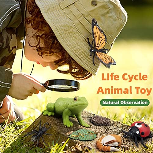 Montessori Life Cycle Animal Figures with Flash Cards, Realistic Animal Figurines Toy, Educational Matching Game for 3+ Year Old Kids (Mosquito) - Image 5