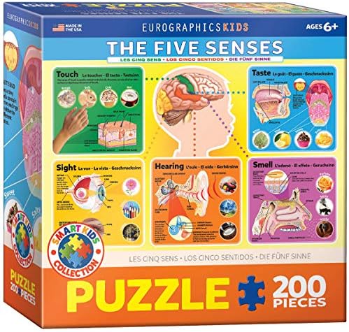 EuroGraphics Five Senses Jigsaw Puzzle (200-Piece) by EuroGraphics