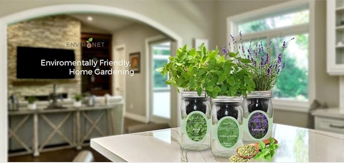 Hydroponic Herb Growing Kit, Self-Watering Mason Jar Herb Garden Starter Kit Indoor, Windowsill Herbs Garden, New Christmas Grden Gift for Mom (Dill)