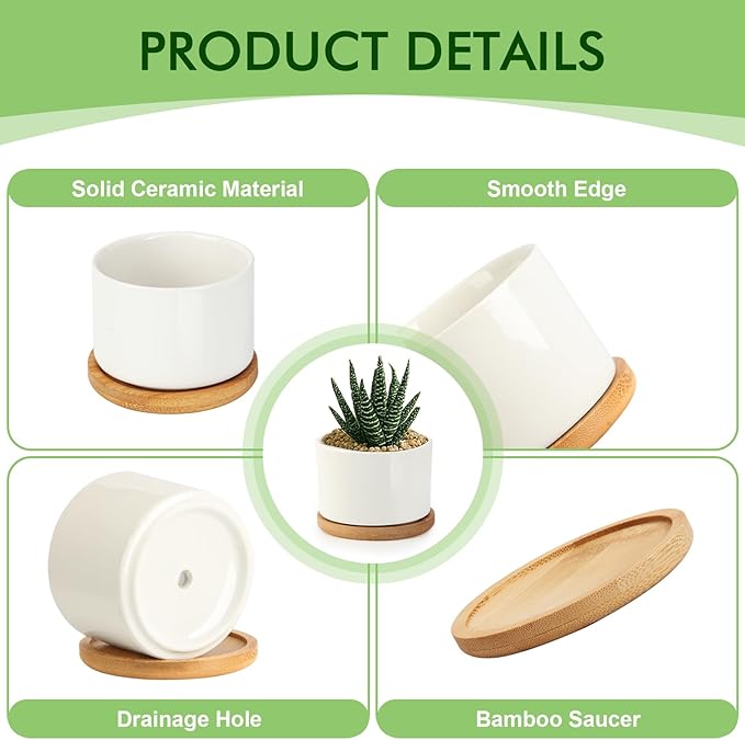 ZOUTOG 12 Pack Ceramic Succulent Pots,4 Inch Plant Pots,Succulent Planters with Drainage Hole & Bamboo Tray for Indoor Plants,White Small Flower Planters for Home,Office,Desk
