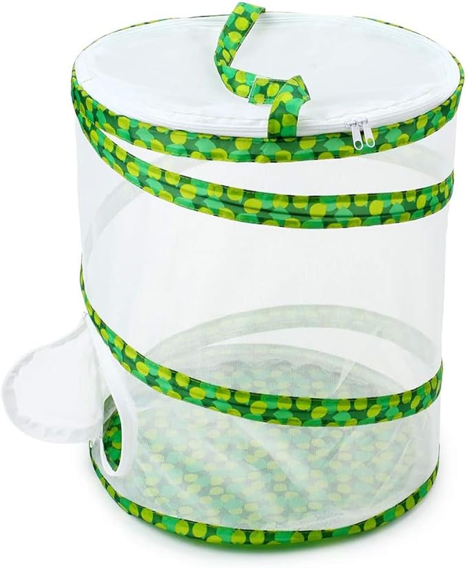 Butterfly and Insect Habitat Cage Terrarium 12" x 14"