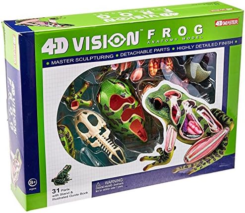 4D Vision Frog Anatomy Model by TEDCOToys