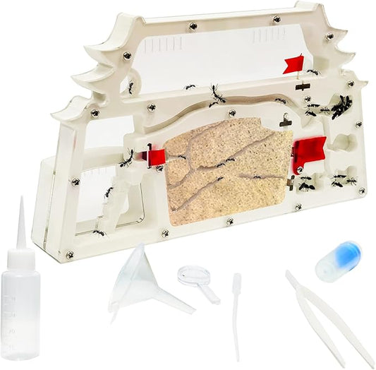 Ant Farm Castle,Ant Colony Habitat Observation Tool Kits,Bug Terrarium House,Nature Learning Toys, Education Science Kit