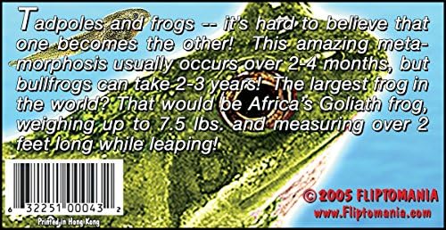 Tadpole to Frog Flipbook for Kids 6-12, Animation Flip Book for Children - Image 2