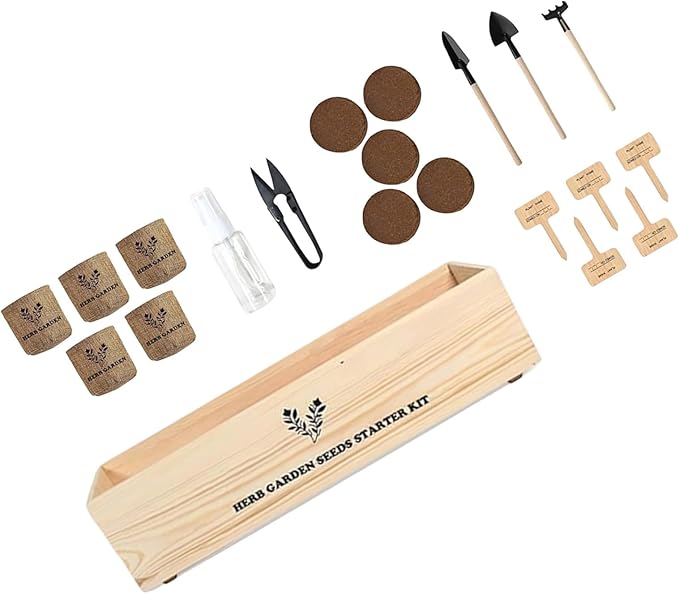 Indoor Tree Planting Kit Bonsai Starter Set with Pots, Nutritional Soil Discs & Tools Gardening Women Men Mom Dad Beginner Grow Guide Included