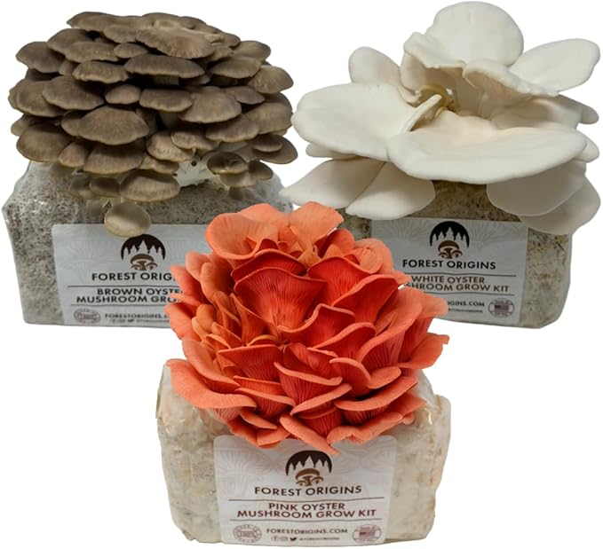 Forest Origins Mushroom Grow Kit – 3-Pack Trio (Pink, Brown, White Oyster) | Indoor Growing Kit | Non-GMO, Easy to Grow in 10 Days | Handmade in California | Gift for Gardeners & Foodies