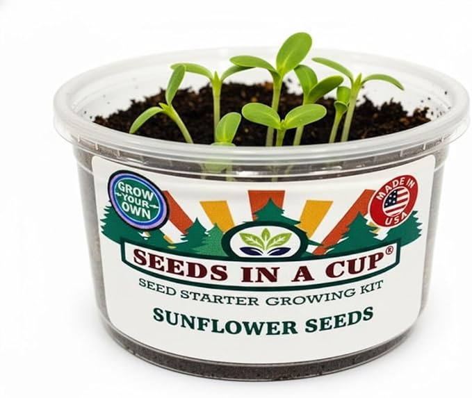 Kids Discovery Garden Kit, Complete Indoor Growing Set with 4 Planters, Premium Soil, Watermelon, Pumpkin, Sunflower & Green Bean Seeds, Educational Activity for Ages 4+