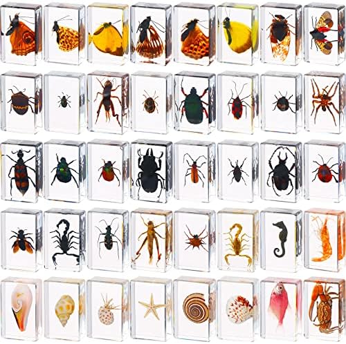 40 Pcs Insect in Resin Specimen Bugs Collection Paperweights Real Bugs in Resin Various Insect Specimen for Kids Scientific Educational Supplies by Handepo