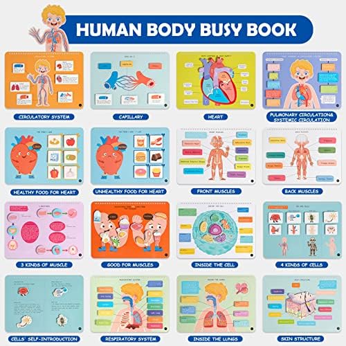 Freebear Montessori Busy Book for Kids, Human Body Anatomy Book for Toddlers, Preshool Kindergarten Learning Activities, Autism Sensory Toys, Gifts for Girls and Boys 4 5 6 7 Years - Human Body System - Image 2
