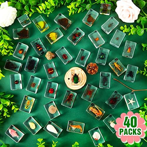 40 Pcs Insect in Resin Specimen Bugs Collection Paperweights Real Bugs in Resin Various Insect Specimen for Kids Scientific Educational Supplies - Image 2