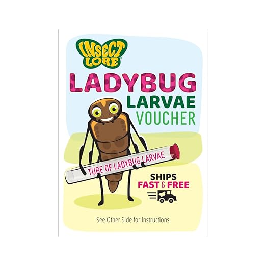 Insect Lore Ladybug Land – Live Ladybug Growing Kit with Pre-Paid Voucher for 10-15 USA Grown Larvae | STEM Educational Insect Habitat for Kids | Observe, Raise & Release Ladybugs