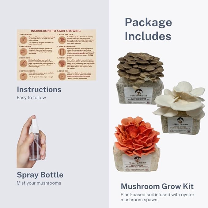 Forest Origins Mushroom Grow Kit – 3-Pack Trio (Pink, Brown, White Oyster) | Indoor Growing Kit | Non-GMO, Easy to Grow in 10 Days | Handmade in California | Gift for Gardeners & Foodies