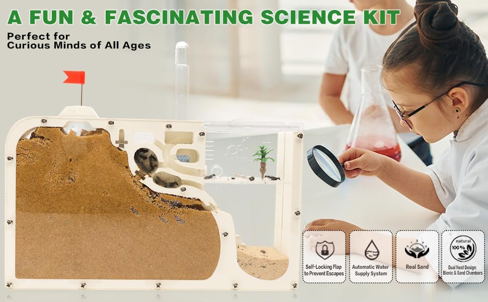 Ant Farm Castle - Ant Farms for Kids with Yellow Sand Complete Tool Kit, Live Ants Habitat Science Kit - Great Gift for Boys, Girls and Student - Image 6