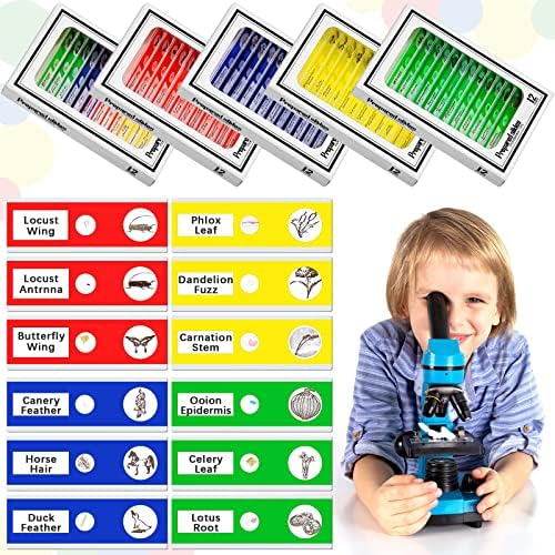 Yexiya 120 Pcs Prepared Microscope Slides, 48 Different Patterns Animals Plants Insects Specimens for Kids, Students Biology Science School Lab Microscope Accessories - Image 5
