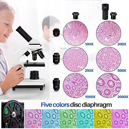 2000X Compound Microscope for Kids Adults: Microscope for Biology Education - Image 2