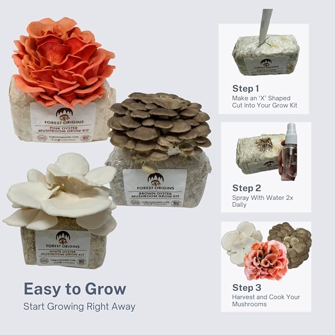 Forest Origins Mushroom Grow Kit – 3-Pack Trio (Pink, Brown, White Oyster) | Indoor Growing Kit | Non-GMO, Easy to Grow in 10 Days | Handmade in California | Gift for Gardeners & Foodies