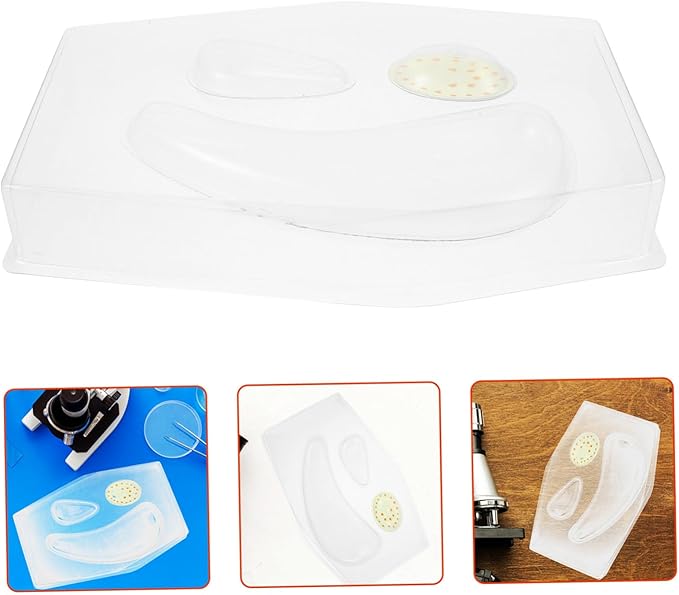 Early Educational Stem Plant Cell Model Kit for Classroom Science Learning Portable Interactive Biology Tool with Detailed Experiment Guide for Teachers