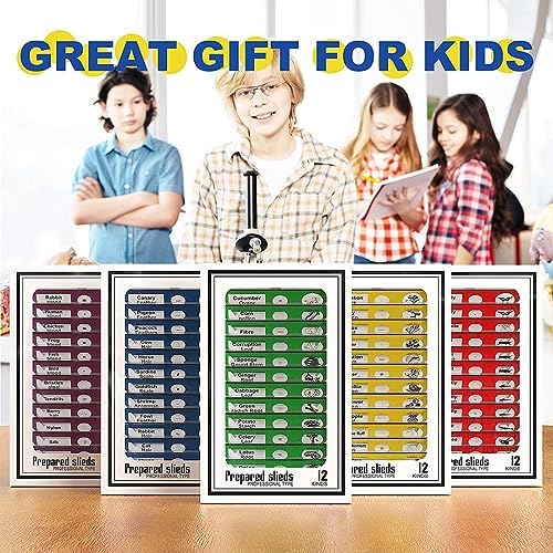 60pcs Plastic Prepared Microscope Slides - Image 3