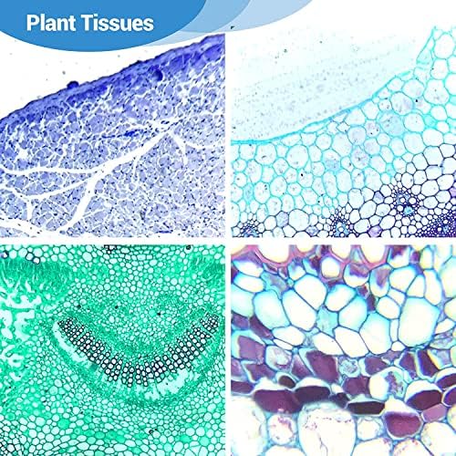 Biological Slides Microscope Slides for Kids Biology Lab Sample with Insect Plants Flower Microorganism for Homeschool Use Science Education-100 pcs - Image 5