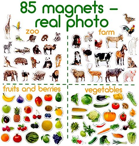 Animals Magnets for Kids - 85 Zoo & Farm, Fruit & Vegetable – Gift - Image 3