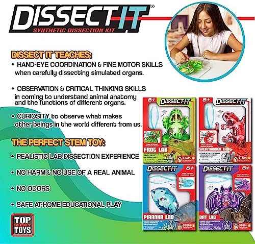 Dissect-It, Variety Animal Dissection Kit, STEM Toys for Kids, Ages 6+ - Image 2