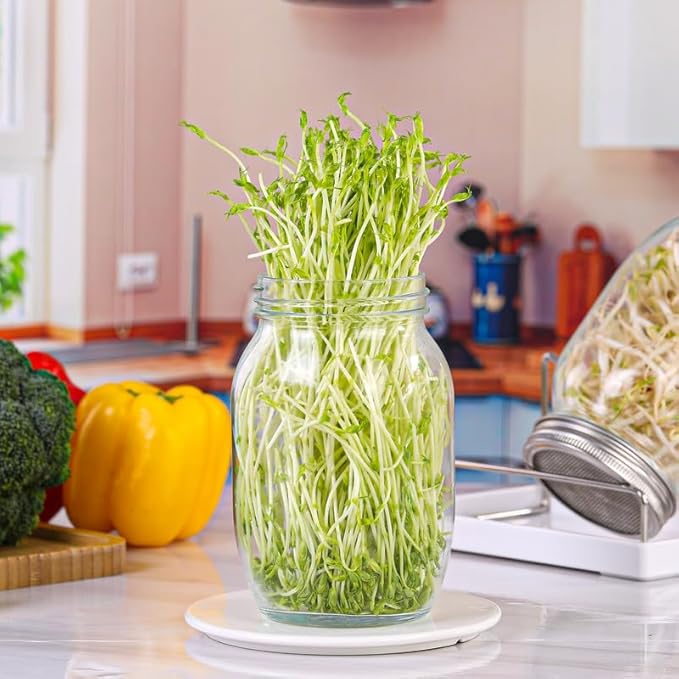 Sprouting Kit,Seed Sprouting Jar Kit,2Pcs Large Wide Mouth Mason Jar with 304 Stainless Steel Screen Sprout Lid,Sprout Jar Stand,Tray,Blackout Sleeves,Sprouts Growing Kit for Broccoli,Mung Bean