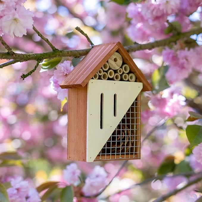 Bug Bungalow Bee, Bird, Ladybugs & Butterfly - Hanging Wooden Bird House,Outdoor Birdhouse for Hummingbirds, Bluebirds and Finch Cardinals, Songbirds, Birdhouse Nesting House for Wild Bird Watching