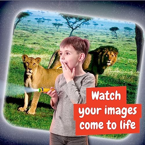 Science4you Animal Torch Projector for Children 4+ Years, Projector Torch for Kids + 24 Images and Poster Included, Educational Gift for Kids Age 4+ - Image 4