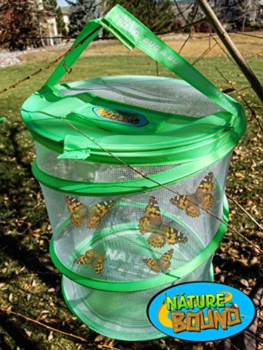 Nature Bound Butterfly Growing Kit - Live Caterpillar to Butterfly Project for Kids - Includes Voucher for Caterpillars, Green Pop-Up Enclosure, and STEM Learning Guide (Original Design) - Image 4