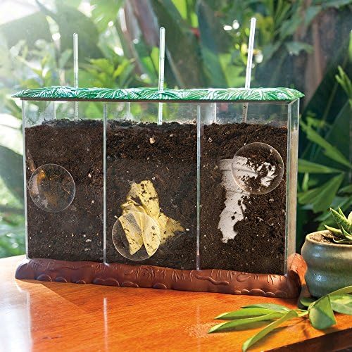 Educational Insights See-Through Compost Container - STEM Kits for Kids, Homeschool or Classroom Earth Science Kit, Practice Observation & Learn about Nature, Science Experiments for Kids Ages 4+ - Image 6