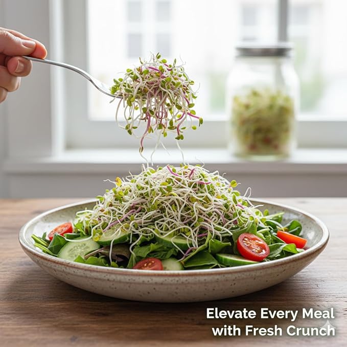 Todd's Seeds Broccoli and Friends Sprouting Seed Mix: Broccoli, Crimson Clover, Red Radish, Alfalfa, Non-GMO, Chemical Free, High Germination (1/4 Pound)