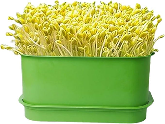 Seed Sprouter Kits Bean Sprout Tray Microgreens Propagators Grow Trays Germinated Seed Indoor Seed Sprouting Tray Plastic Container