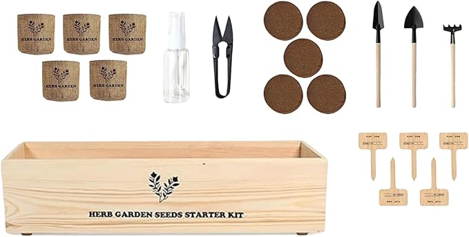 Indoor Tree Planting Kit Bonsai Starter Set with Pots, Nutritional Soil Discs & Tools Gardening Women Men Mom Dad Beginner Grow Guide Included