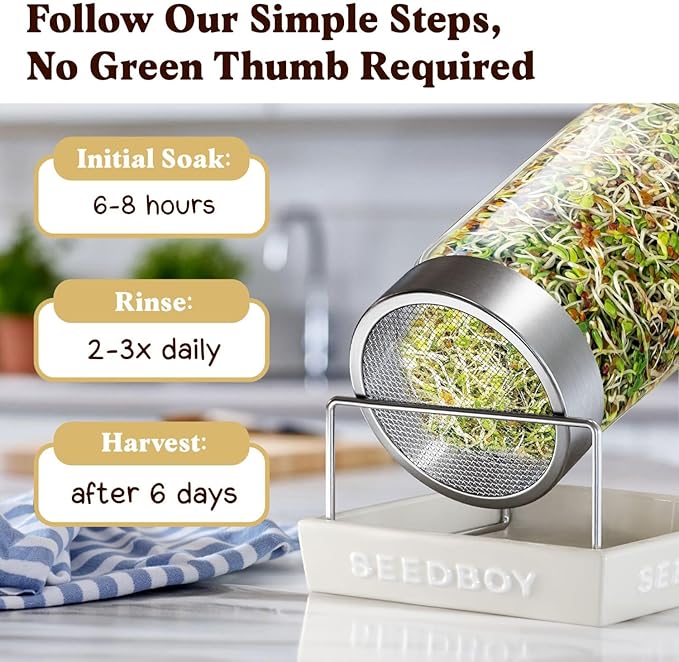 Seedboy Organic Non-GMO Sprouting Seeds, Longevity Blend – USA Grown Microgreens Mix with Broccoli, Red Kale, Black Kale, Alfalfa - 8 oz Bag Makes 6 Quarts / 20 Servings (Longevity Blend)