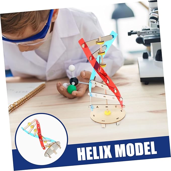DIY Human DNA Double Helix Model Kit Educational Stem for Molecular Structure Building Enhancing Fine Motor Skills and Biology Learning Science Project for Boys