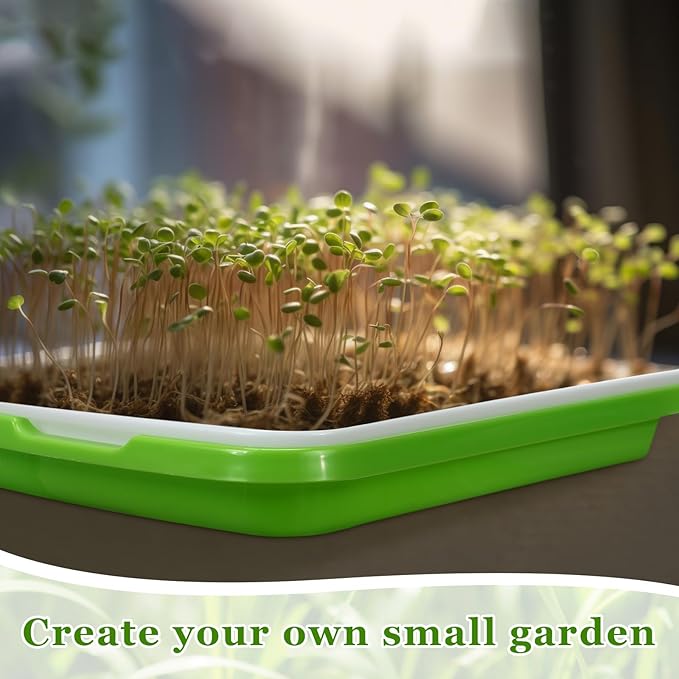 Menkxi 5 Layers Seed Sprout Tray Shelf Microgreens Growing Kit 10 Pcs Healthy Wheatgrass Seeds Grower with Drain Holes and 60 Sheets Germinating Paper for Garden Home Office