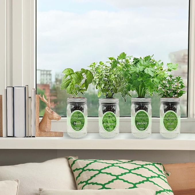 Hydroponic Herb Growing Kit Set, Self-Watering Mason Jar Herb Garden Starter Kit Indoor, Grow 4 Kinds of Herbs from Seeds (Basil, Mint, Parsley & Oregano)