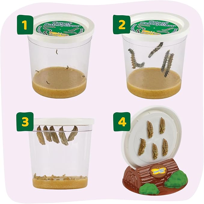 Insect Lore Butterfly Garden Kit - 5 Live Baby Caterpillars, Habitat, Feeder, Chrys-A-Lid Log, STEM Journal Included - Grow, Raise and Release Painted Lady Butterflies