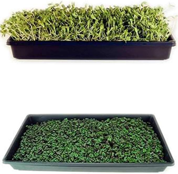 Deluxe Microgreens Growing Kit - Grow Micro Greens & Baby Salad - Soil & Hydroponic Indoor Garden: Complete Step-by-Step Kit