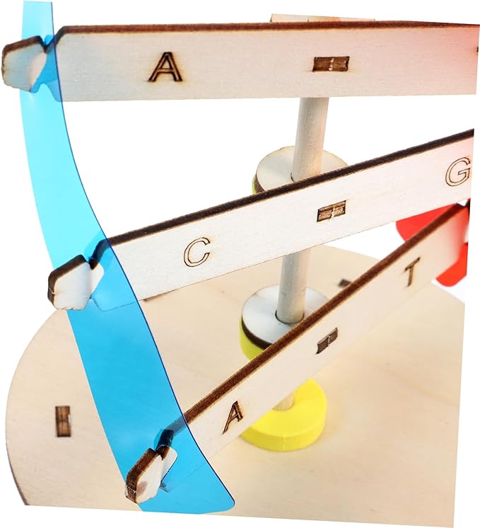 DIY Wooden DNA Double Helix Model Kit Self-Assembling Biology Science Teaching Instrument for Stem Education and Classroom Learning Tool