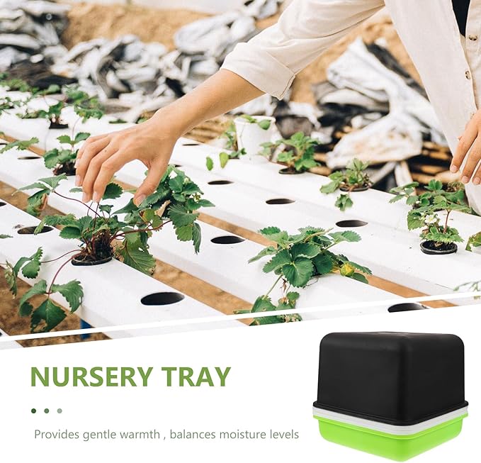 Peanut Sprout Water Propagator Tray Small Germination Starter Kit with Cover for Home Hydroponic Growing, Plant Sowing Container Garden Accessory