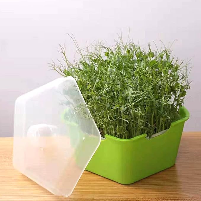 Seed Sprouter Tray with Cover Plastic Seedling Nursery Tray Soil-Free for Kitchen Garden Home Office 4 Pcs Sprouting Tray Sprouts Growing Tray Sprouts Growing Kit Germination Tray
