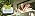 Insect Lore Butterfly Garden Experience | No Fee Prepaid Voucher | Redeem Raise and Release 5 Baby Painted Lady Caterpillars | Observation Habitat and All Supplies Included - Image 7