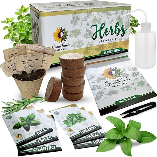 Herb Garden Kit Indoor, Non-GMO Seeds, Native Planting Soil, Gardening Gifts for Women and Men, Complete 6-Seed Starter, Kitchen Window Garden, DIY Grow Plants at Home, Gifts for Her Him