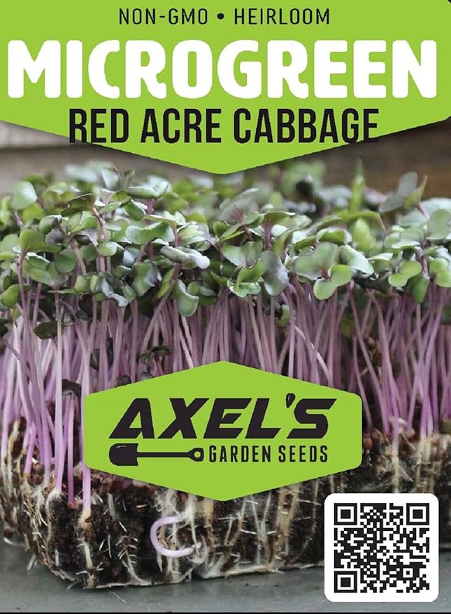 Cabbage Seeds for Sprouting Microgreens – Heirloom, Non-GMO Seeds to Plant & Grow Red Acre Cabbage in Home Indoor Hydroponic Gardens – High Germination Rates, 1 Ounce